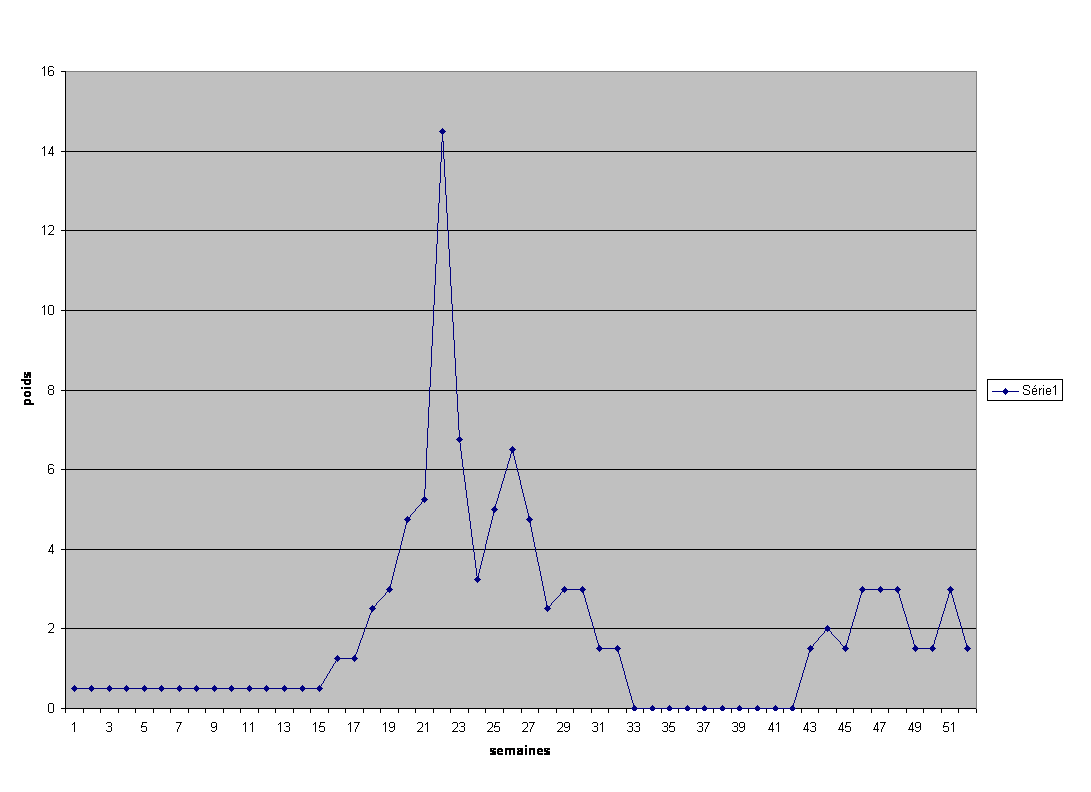 Consomation 2007