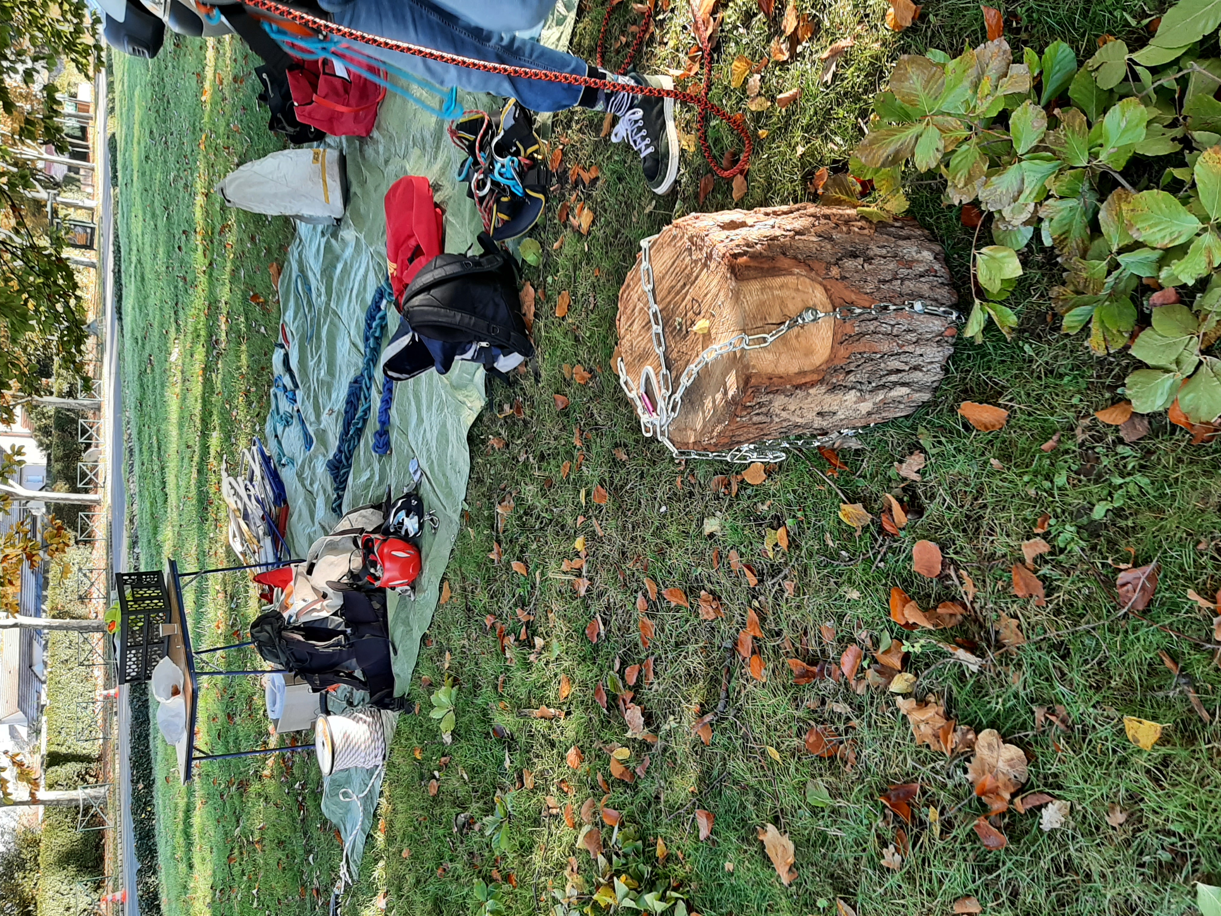 Ecuroduc du parc de Rentilly de Marne les gondoires