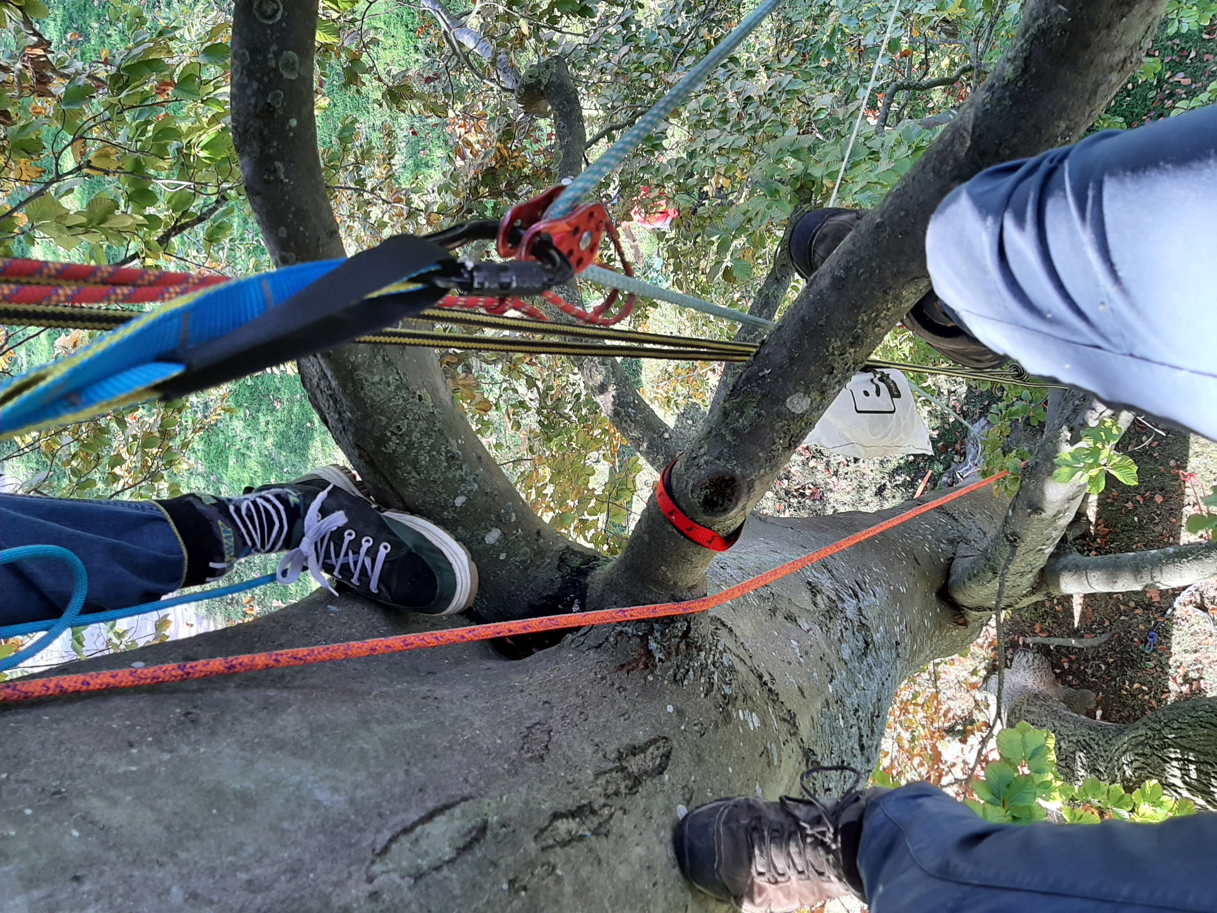 Ecuroduc du parc de Rentilly de Marne les gondoires