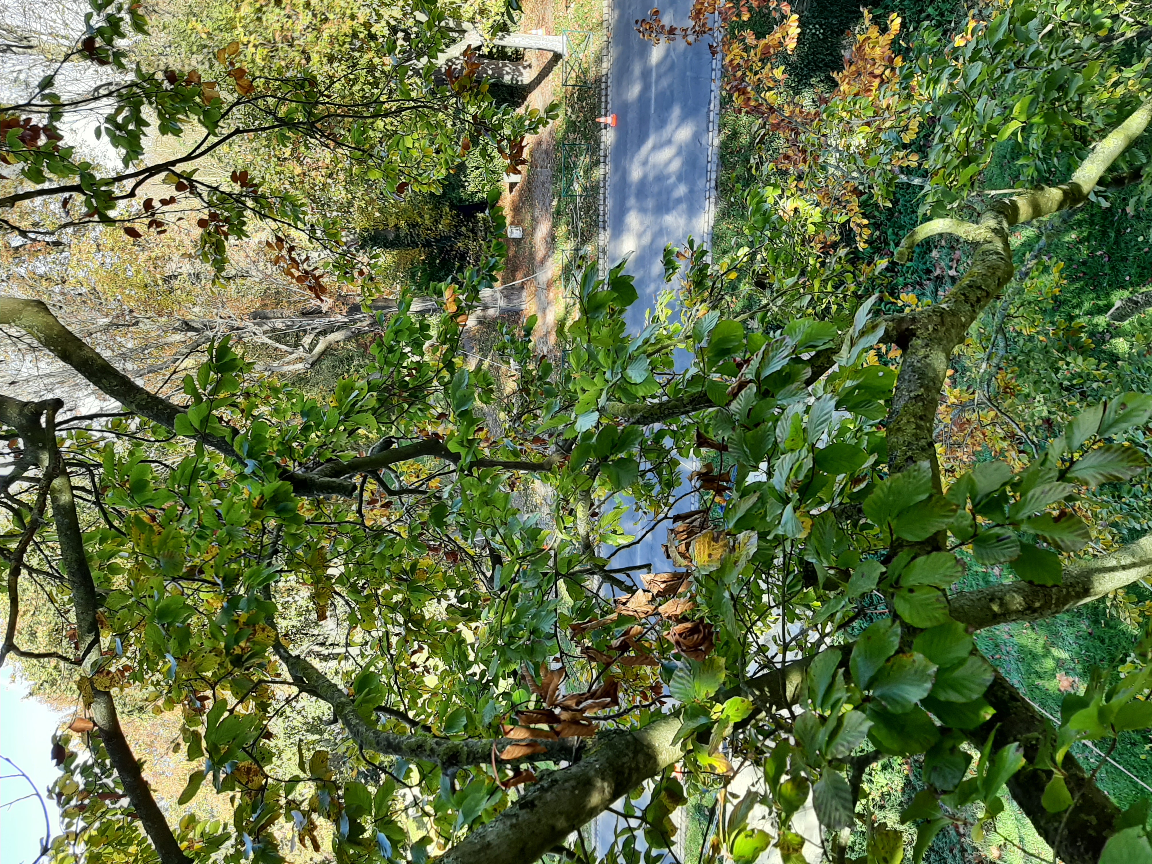 Ecuroduc du parc de Rentilly de Marne les gondoires