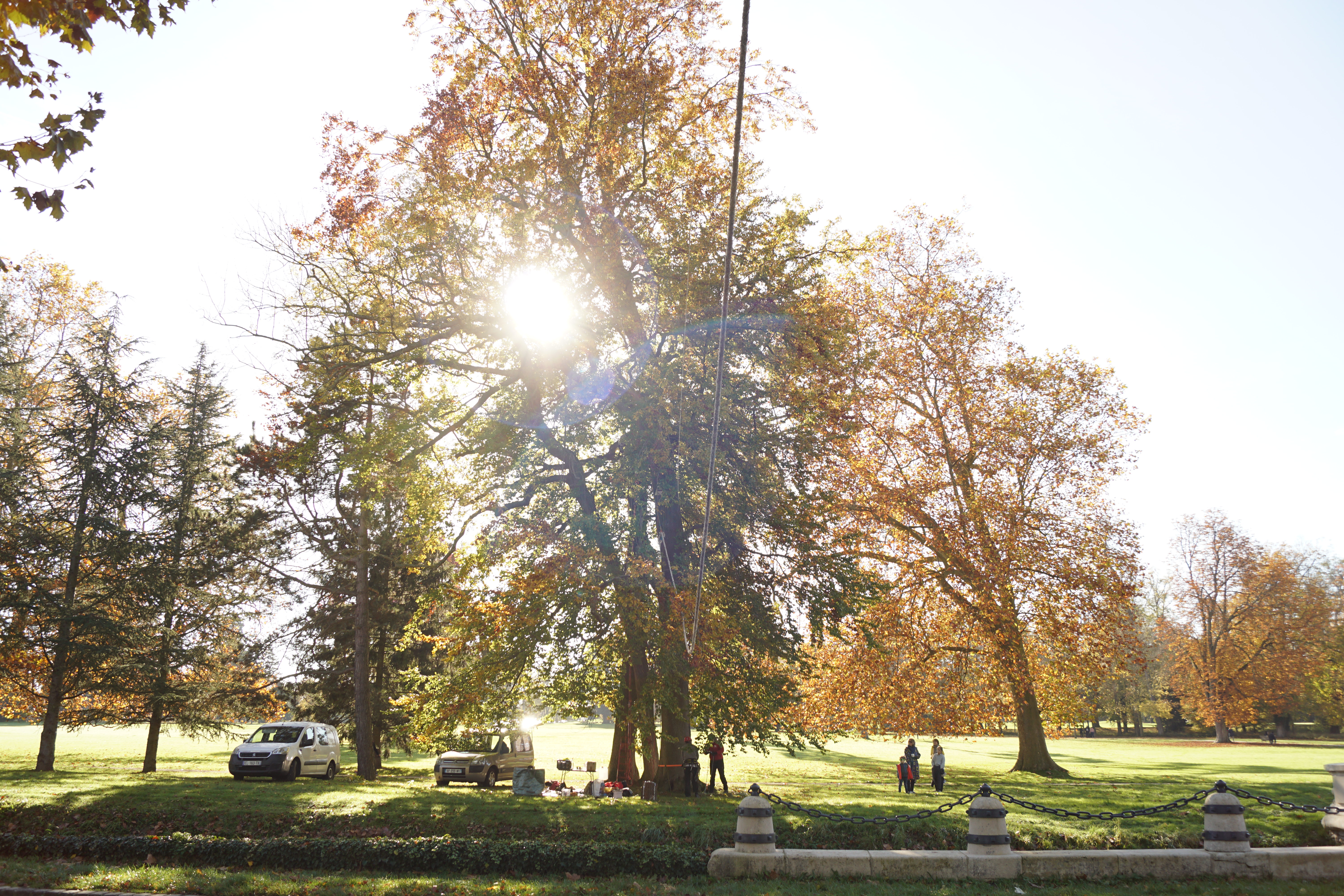 Ecuroduc du parc de Rentilly de Marne les gondoires