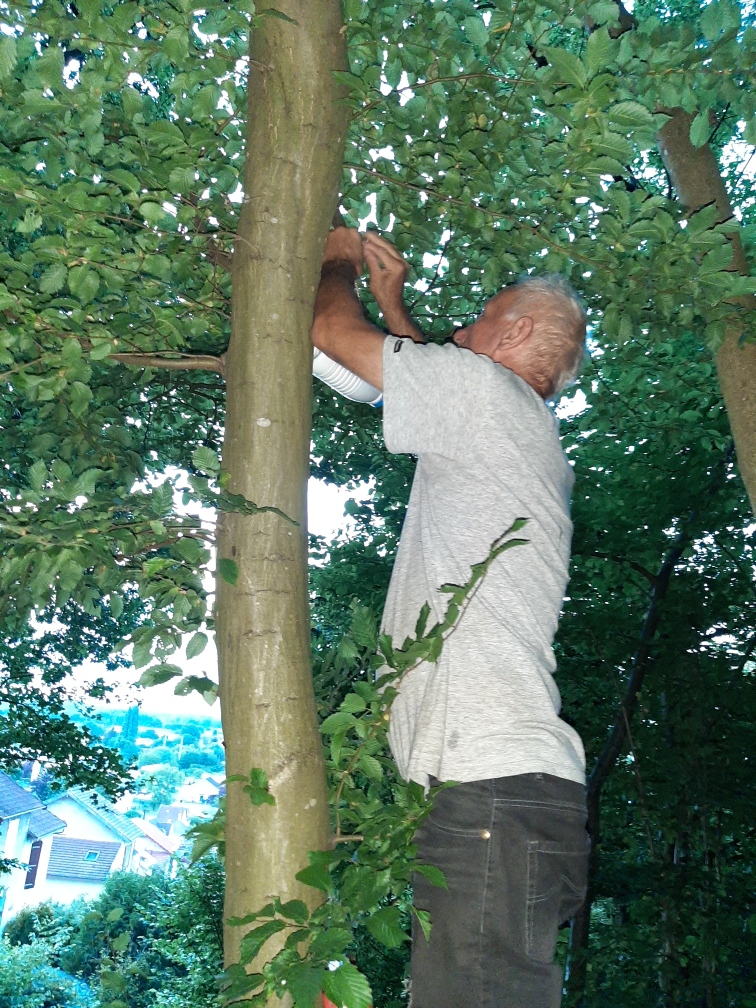 Mise en place Abreuvoir avant canicule