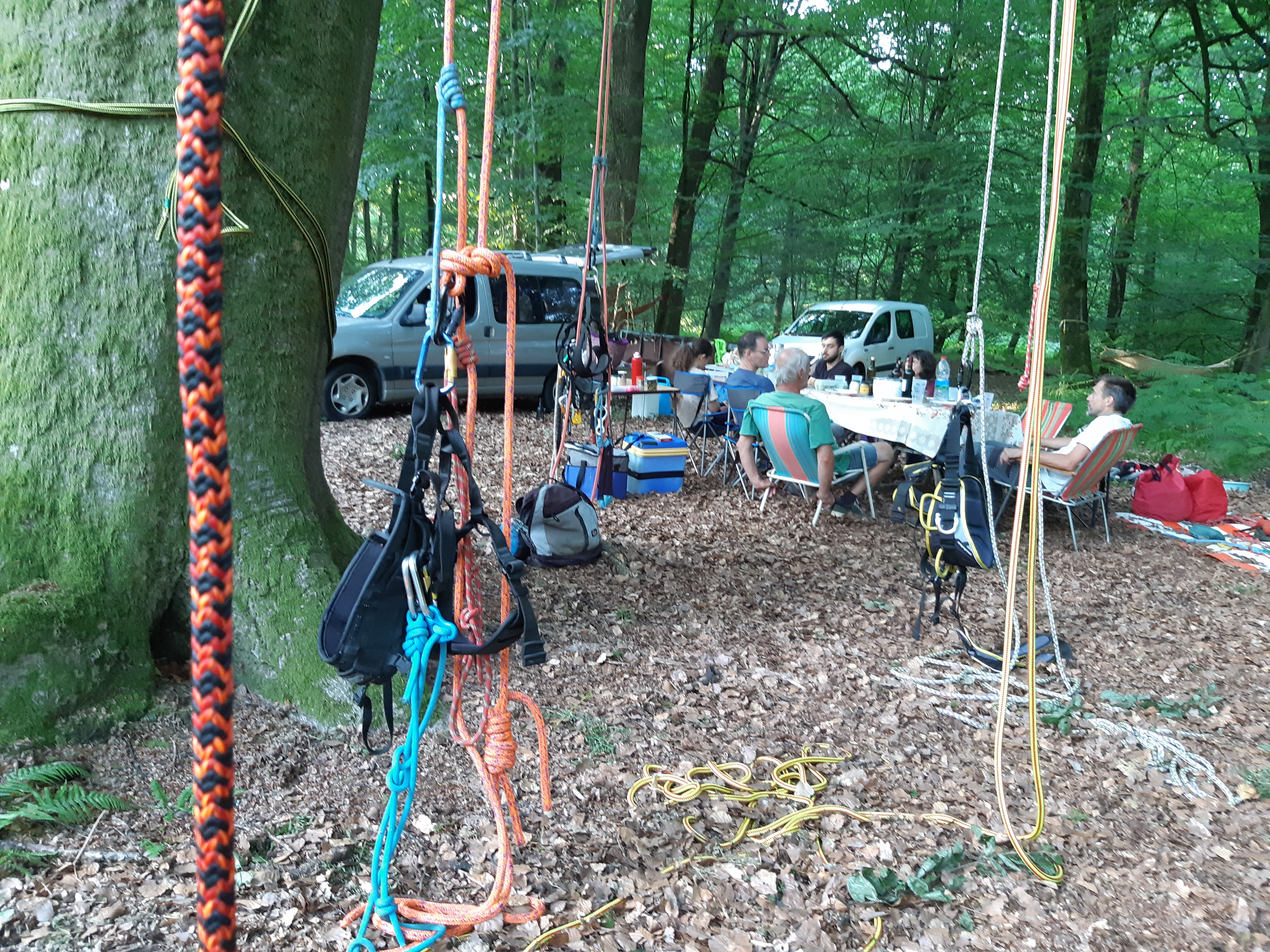 Bivouac en fôret d'halatte