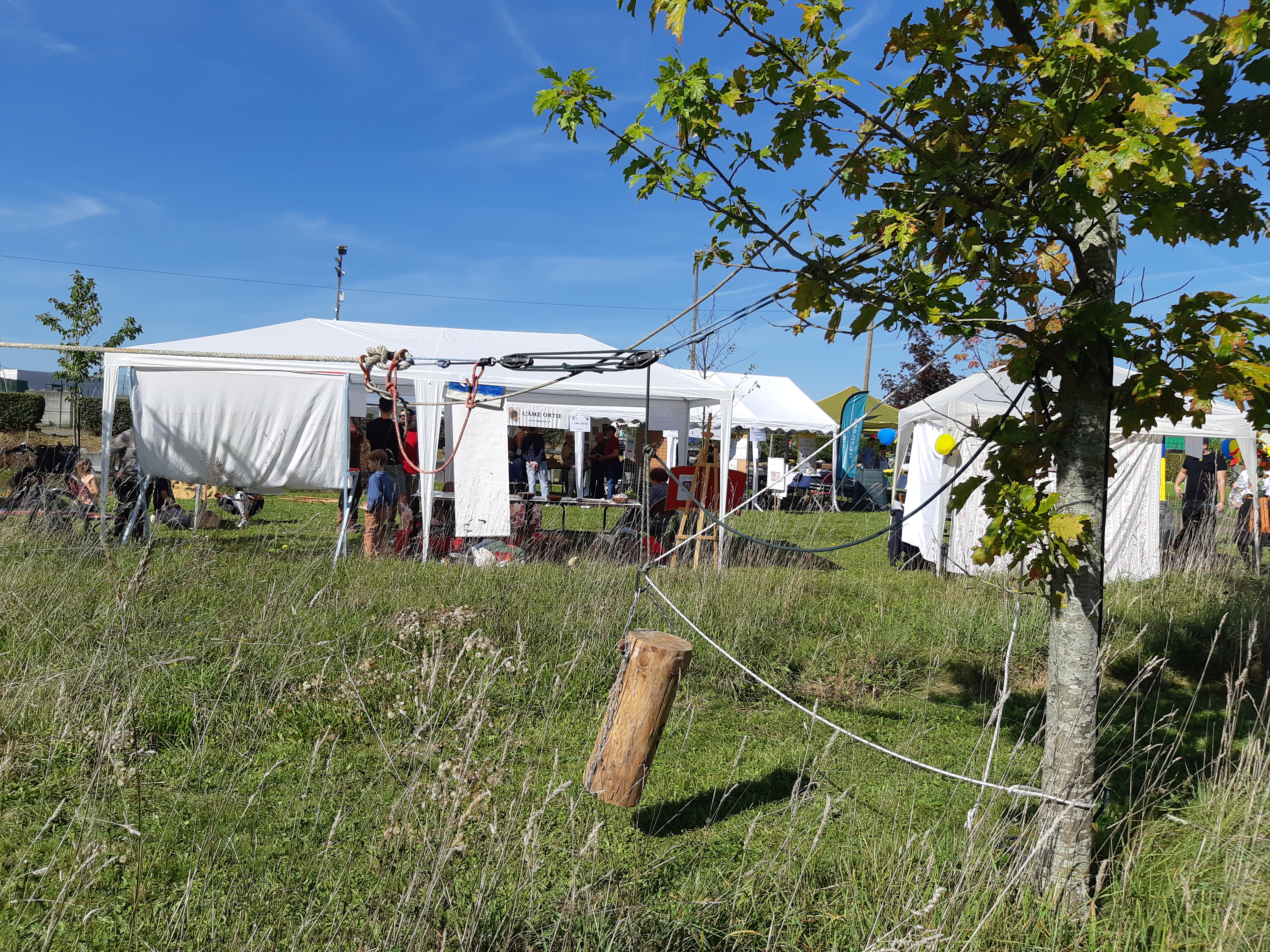 Bivouac en fôret d'halatte