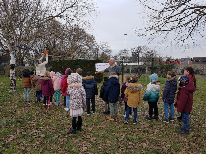 Presentation d'un écuroduc à l'école élémentaire Philippe de Beaumanoir